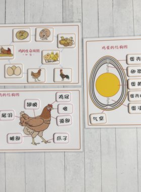 安静书动物鸡的生命周期+结构图认知卡青蛙海龟鱼蛇狗鳄鱼袋鼠人