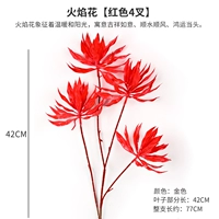 Темно -серого красного пламени цветок 4 головы и 1