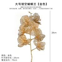 Brown 7 Phalaenopsis/Большая пустота