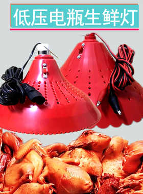 12V低压电瓶灯48V水果灯生鲜灯60伏熟食灯LED夜市灯地摊灯专用灯