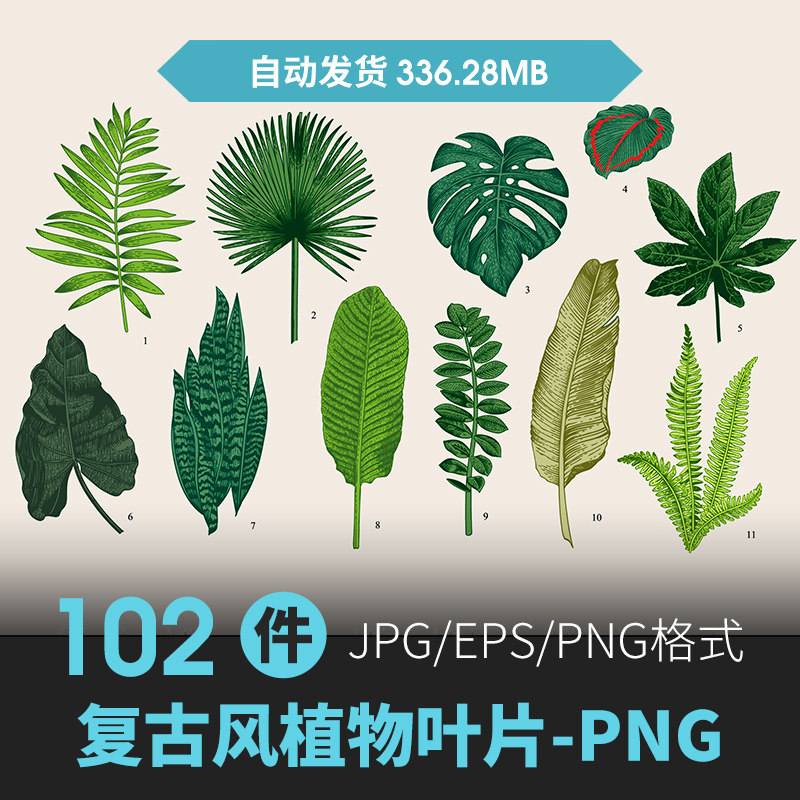 唯美复古草本植物森系热带植物花卉叶子背景png免扣eps矢量素材