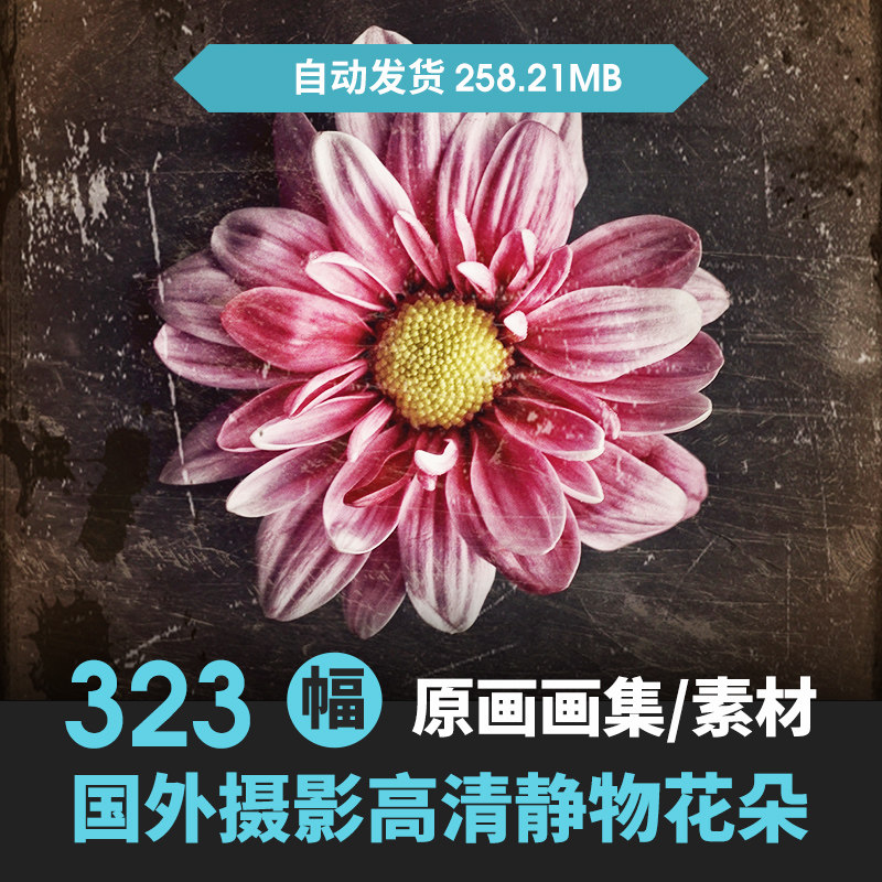 唯美浪漫卡通手绘薰衣草植物花卉花朵插画摄影海报图片ps素材库