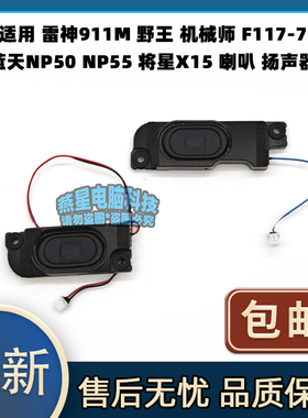 适用雷神911M 机械师 F117-7 蓝天NP50 NP55 将星X15 喇叭 扬声器