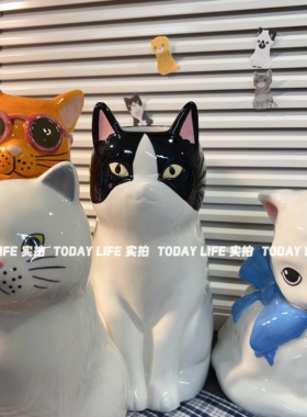 猫咪陶瓷零钱收纳花瓶