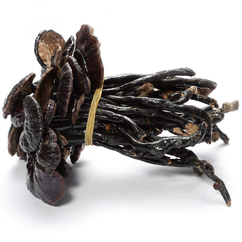 海南五指山野生竹灵芝250g包邮整枝长颈竹林紫灵芝小红灵芝煲汤料