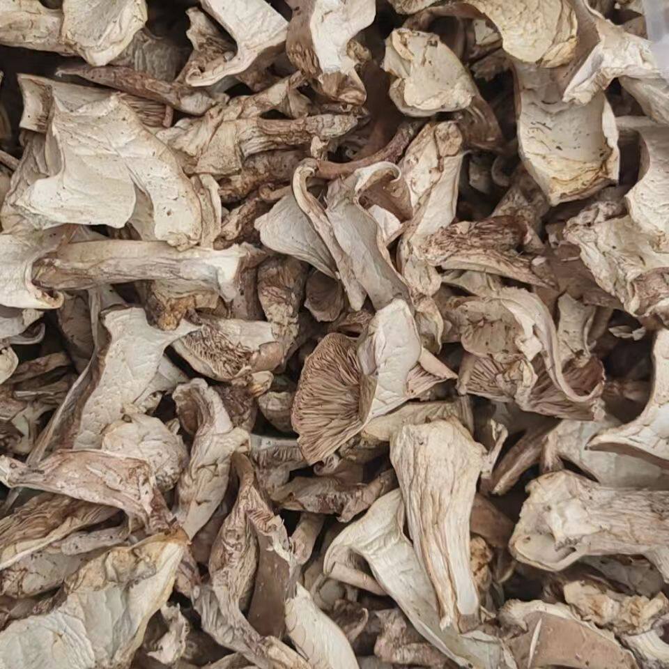山西特产五台山台蘑野生蘑菇菇食用散装