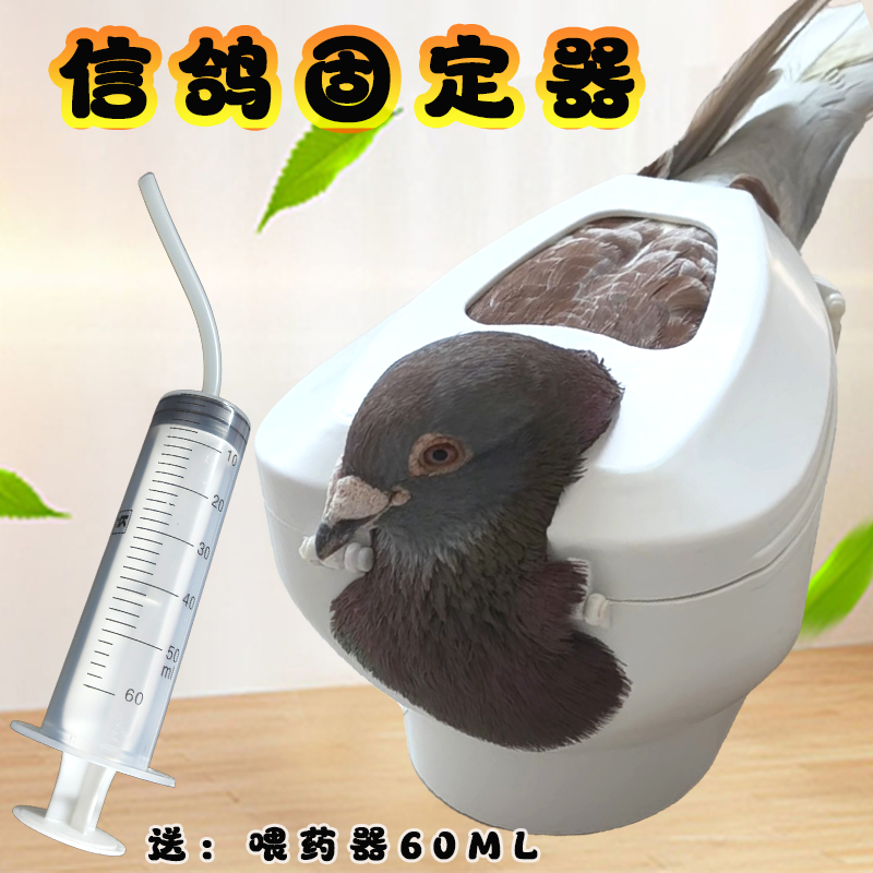 鸽子固定器大号喂药打疫苗