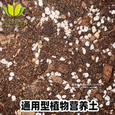 大兴花卉通用型花卉绿植营养土