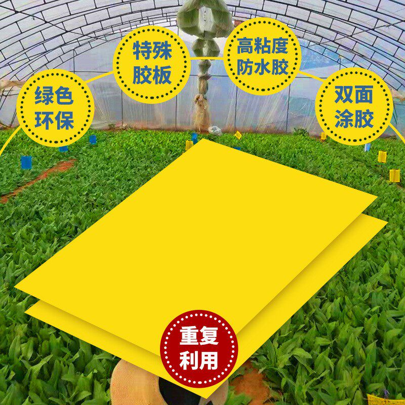 粘虫板双面环保捕诱虫板杀蚜虫跳蚤蟑螂粉虱小黑飞虫灭虫粘蚊蝇板