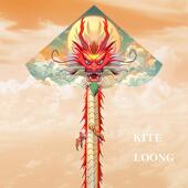 龙形风筝大人专用2024年潍坊大风筝龙年微风易飞风筝