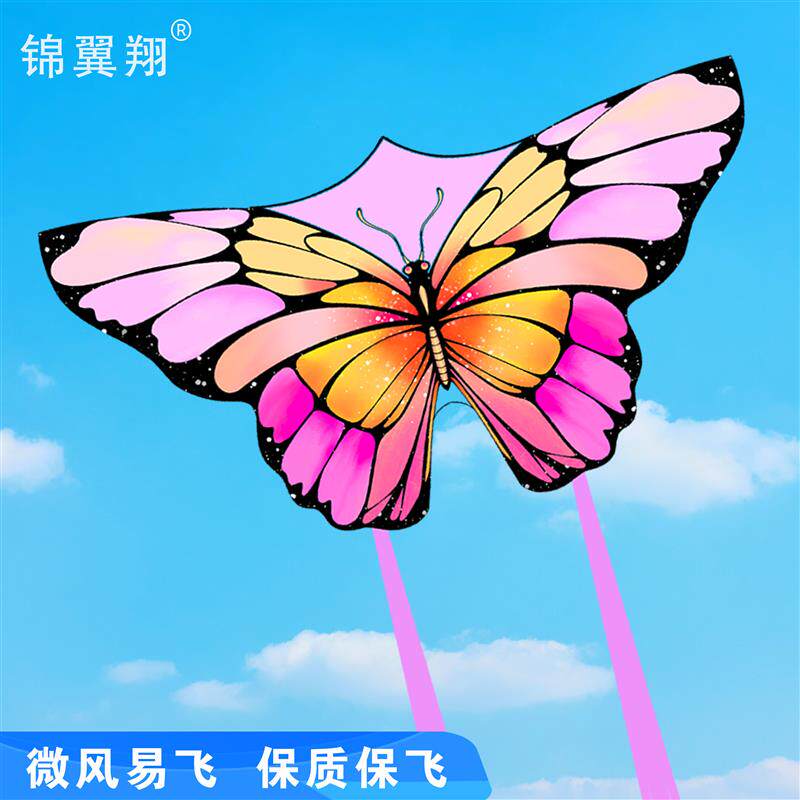 潍坊风筝 炫彩蝴蝶风筝 儿童初网红风筝 好飞易飞