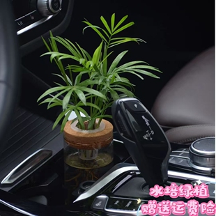 车载绿植中控花瓶汽车中控台摆件网红水培养花小盆栽花盘车内真花