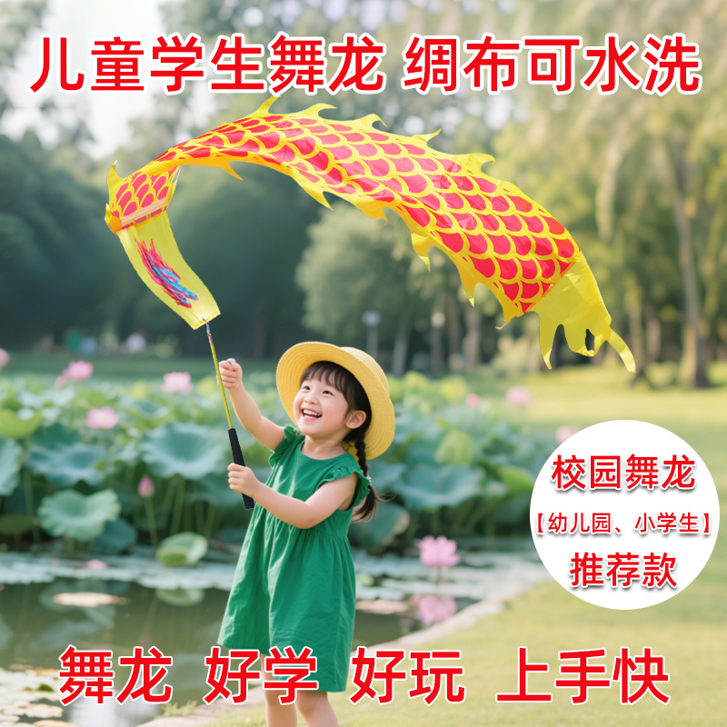 舞龙彩带中国龙健身龙儿童甩甩龙新款杆甩舞龙幼儿园舞龙表演道具