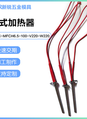 替米思加热棒C-MFCH6.5-100-V200-W220筒式加热器 标准型/凸缘型