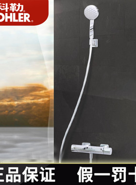 科勒淋浴花洒浴室小户型家用若方挂墙式恒温浴缸冷热水龙头23493T