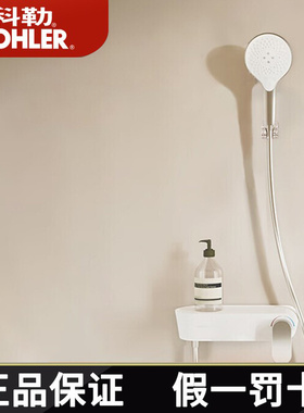科勒KOHLER斐然花洒龙头挂墙式小户型增压花洒喷头36521T 36522T