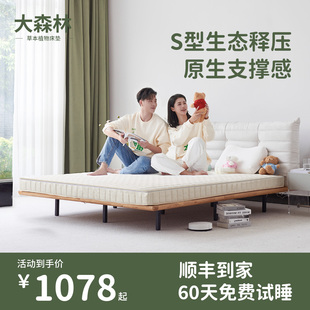 大森林黄麻床垫成人硬垫护脊偏硬环保棕榈老人卧室孕妇床垫H11