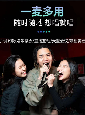 CQA3318 冷漠同款无线专业话筒一拖二可充电麦克风声卡音箱可通用