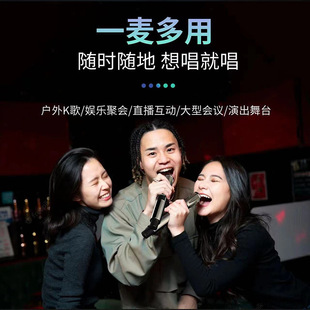 CQA3318 冷漠同款无线专业话筒一拖二可充电麦克风声卡音箱可通用