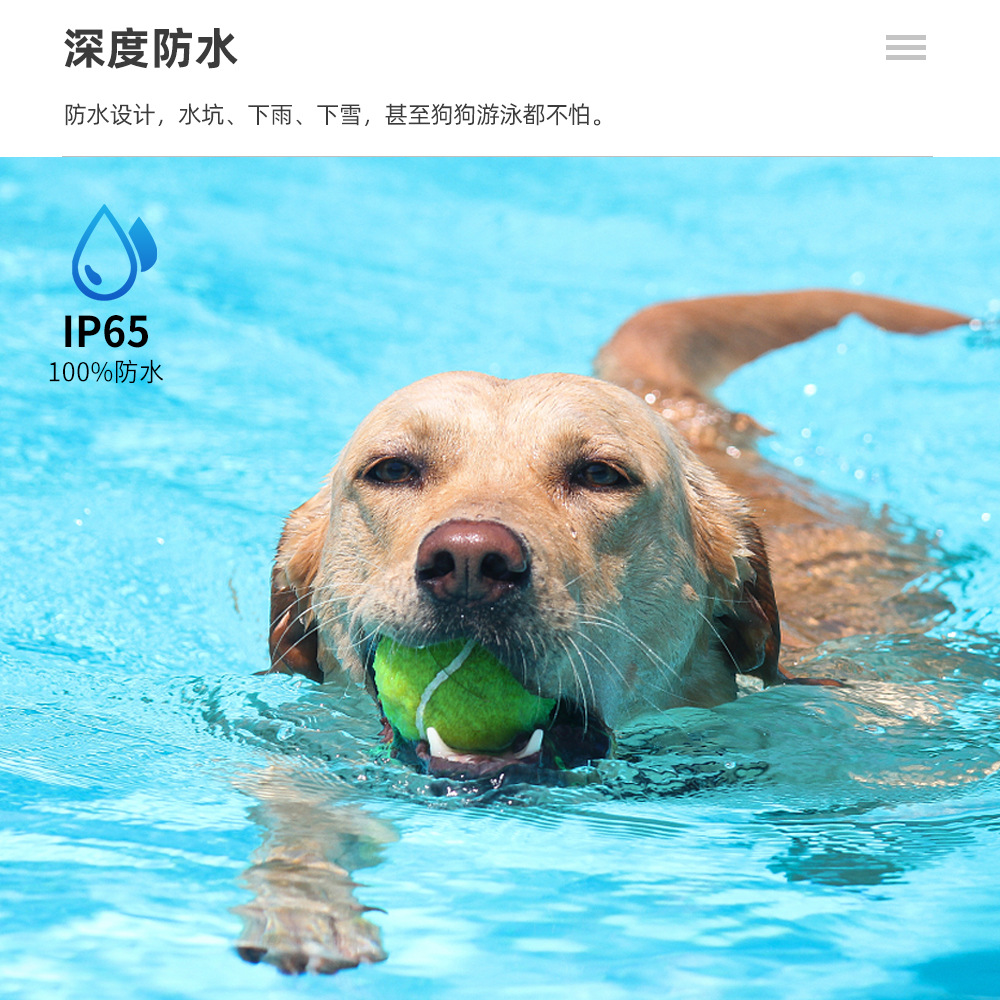 800米遥控彩屏电击止吠器便携式