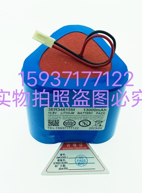 水下探测器电池3ER34615M三角形免维护地震监测仪10.8V锂亚电池