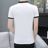 夏季短袖棉POLO衫男衬衫领扣子翻领T恤英文商务韩版休闲灰8535P26，男装Polo衫，星座1207