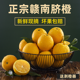 江西正宗赣南脐橙10斤装赣州产地直发当季橙子新鲜整箱应季水果
