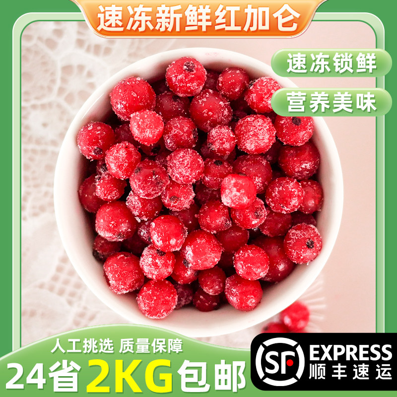 冷冻新鲜红加仑1000g红醋栗红茶藨子水果饮品原料轻食蛋糕烘焙,水产肉类/新鲜蔬果/熟食,荔枝,淘宝优惠券,粉丝福利购,淘宝优惠卷
