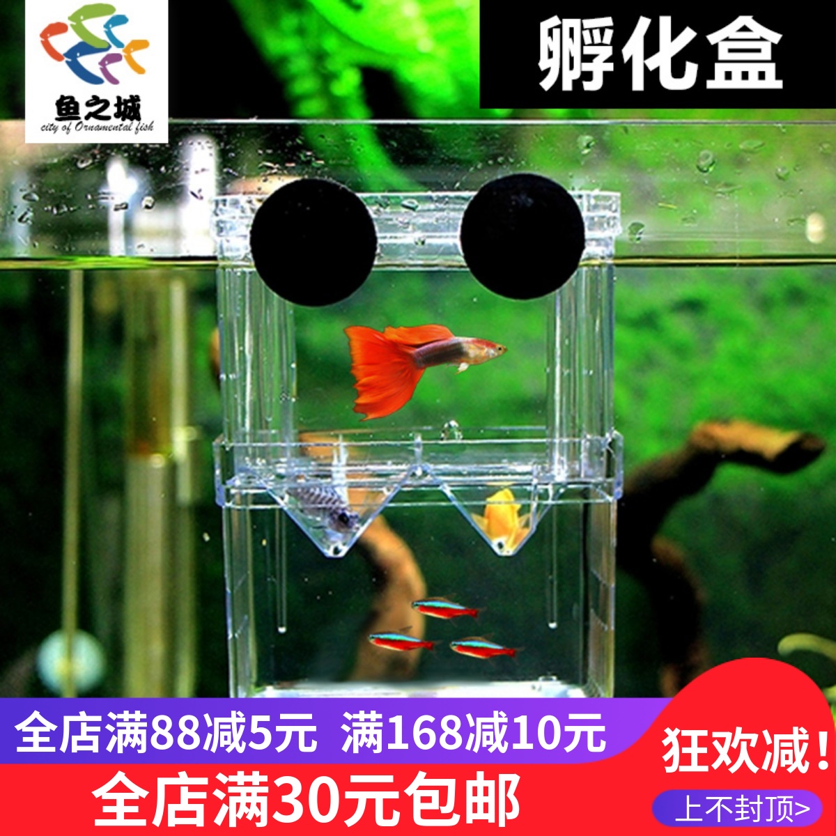 鱼苗孵化器孵化盒鱼之城隔离室