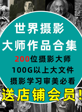 精选世界摄影大师艺术作品集摄影素材合集参考构图审美学习电子版