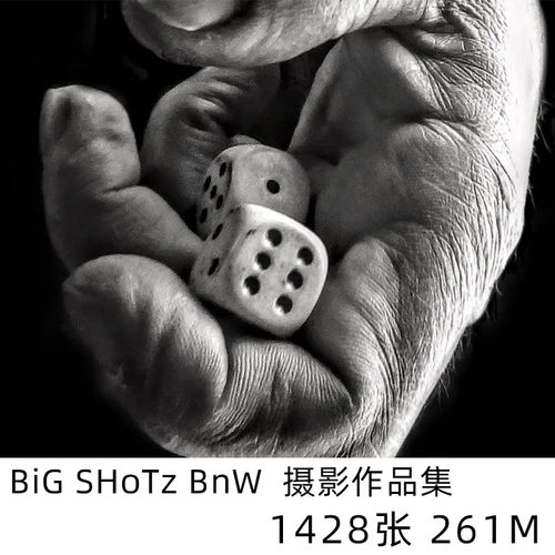 BiG SHoTz BnW 人像摄影相册排版学习参考素材 1168