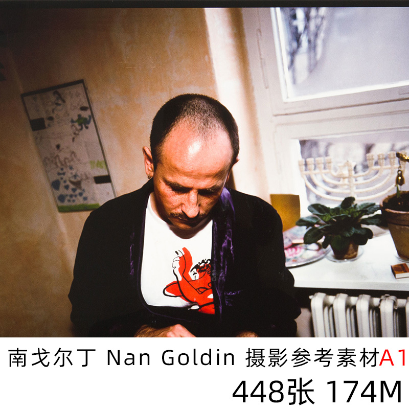 南戈尔丁Nan Goldin 人文纪实摄影集大师作品参考素材电子版A1 商务/设计服务 设计素材/源文件 原图主图