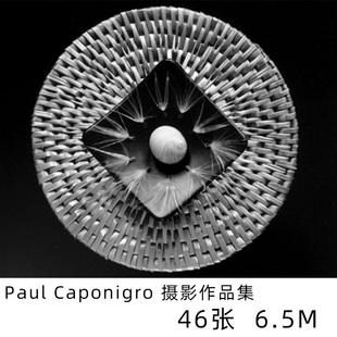 paul caponigro保罗卡普尼格罗直接摄影大师黑白光影摄影参考素材