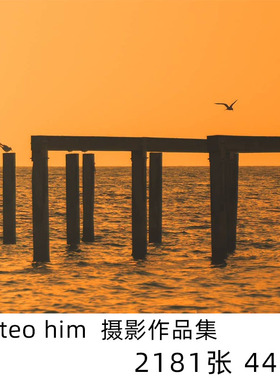 Matteo him人像摄影相册排版学习参考素材 1167