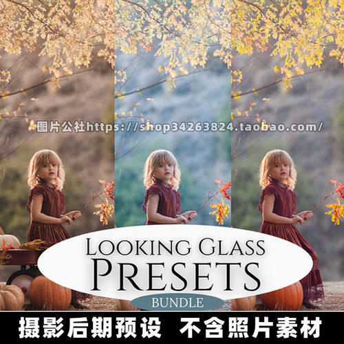 139个XMP格式风景人像LR预设Jessica Drossin - Looking Glass