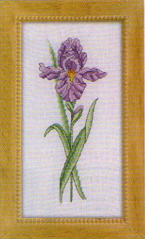 小小鱼 Col144-6花卉紫色鸢尾花餐厅精准印花印布十字绣套件