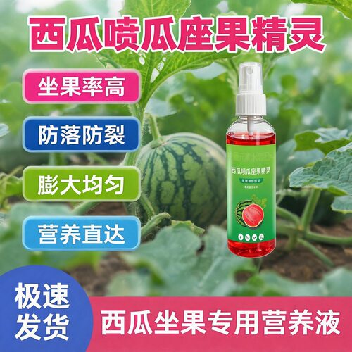 西瓜喷瓜座果精灵西瓜保花保果膨果增产授粉座果灵叶面肥