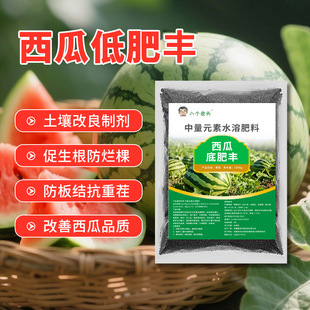 颗粒缓释不烧苗西瓜底肥宝中量元素钙镁水溶肥壮根抗病丰收有保障