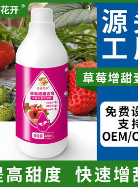 草莓增色增甜果实膨大剂膨大素转色增糖膨果肥水溶肥料营养植物