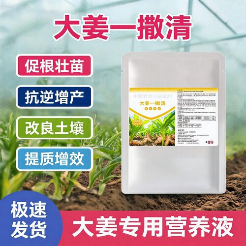 大姜一撇清抑菌调理肥防土传病