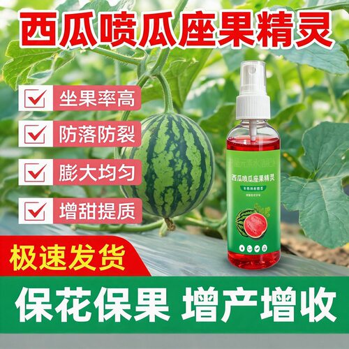西瓜喷瓜座果精灵西瓜保花保果膨果增产授粉座果灵叶面肥