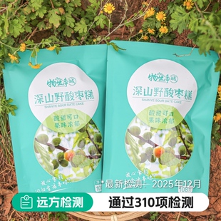 物出净城深山野生酸枣糕108g健康零食开胃消食酸甜可口果味浓