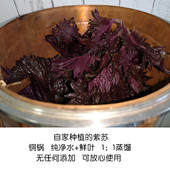 2025年新出铜锅蒸馏紫苏纯露500ml控油