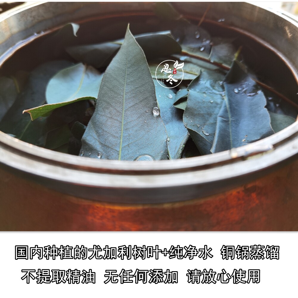 国内种植的尤加利树 尤加利纯露250/500ml两种规格可选