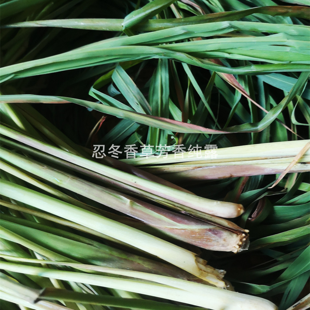 铜锅蒸馏柠檬香茅草纯露250ml。