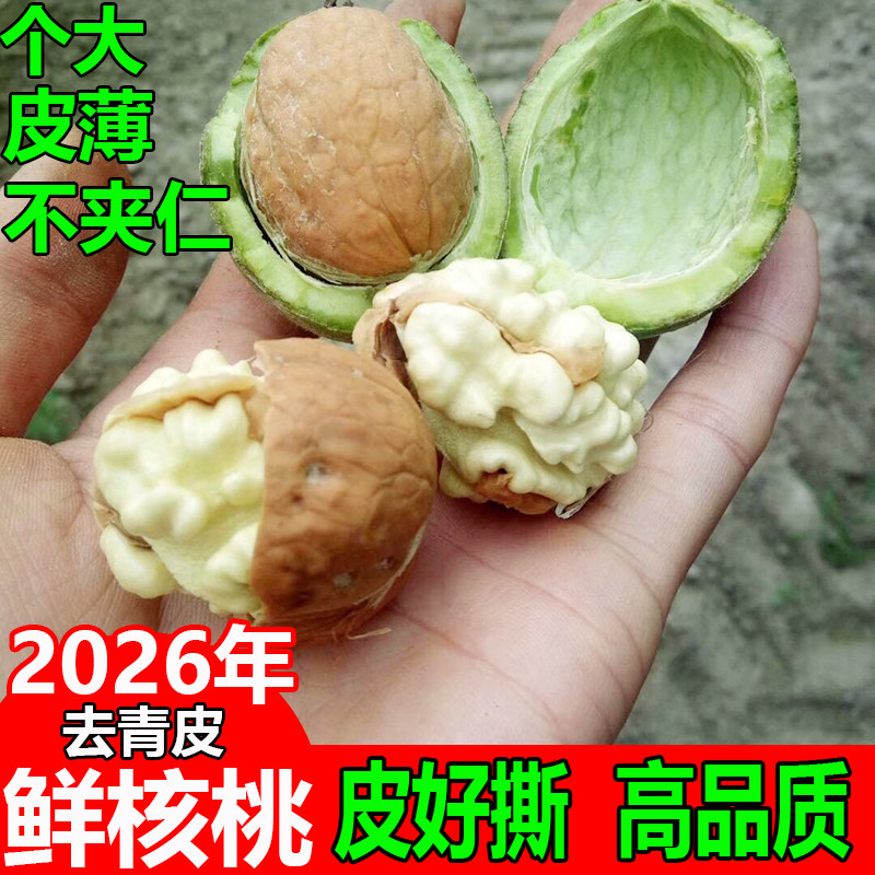 陕西秦岭去青皮新鲜湿核桃现剥去绿皮黑桃嫩核桃孕妇薄皮鲜核桃
