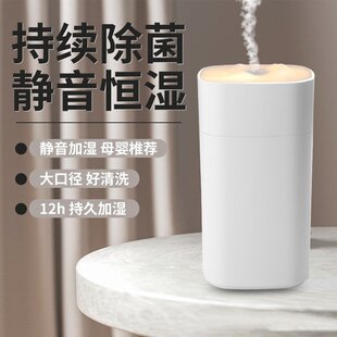 迷你香薰加湿器 usb车载补水仪 加湿器 新款 创意礼品桌面雾化器