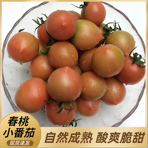 福建春桃小番茄圣女柿子新鲜孕妇