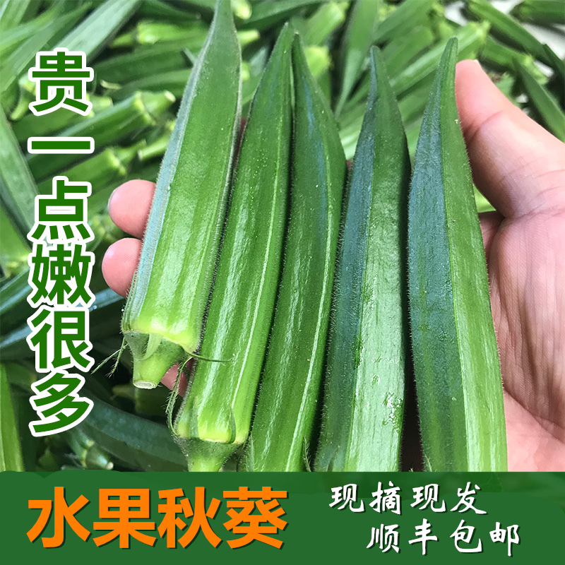 Fujian Okra fresh Okra Vegetables fruit Okra Fresh Net weight 3 pounds 5 pounds Shunfengin the Aquatic meat/Fresh fruits and vegetables/Cooked , Fresh vegetables/Vegetable products , Okra  category - from Buy2taobao.com to provide professional Taobao agent buy service