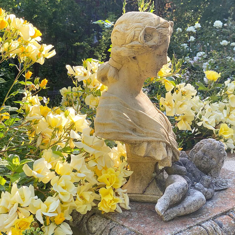 月季柠檬酒280天开花机器